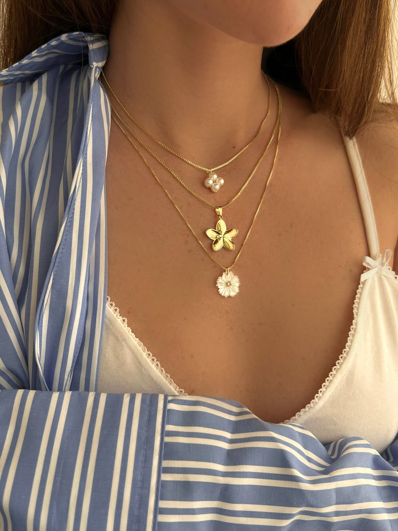 Facetune 05 03 2025 21 58 27