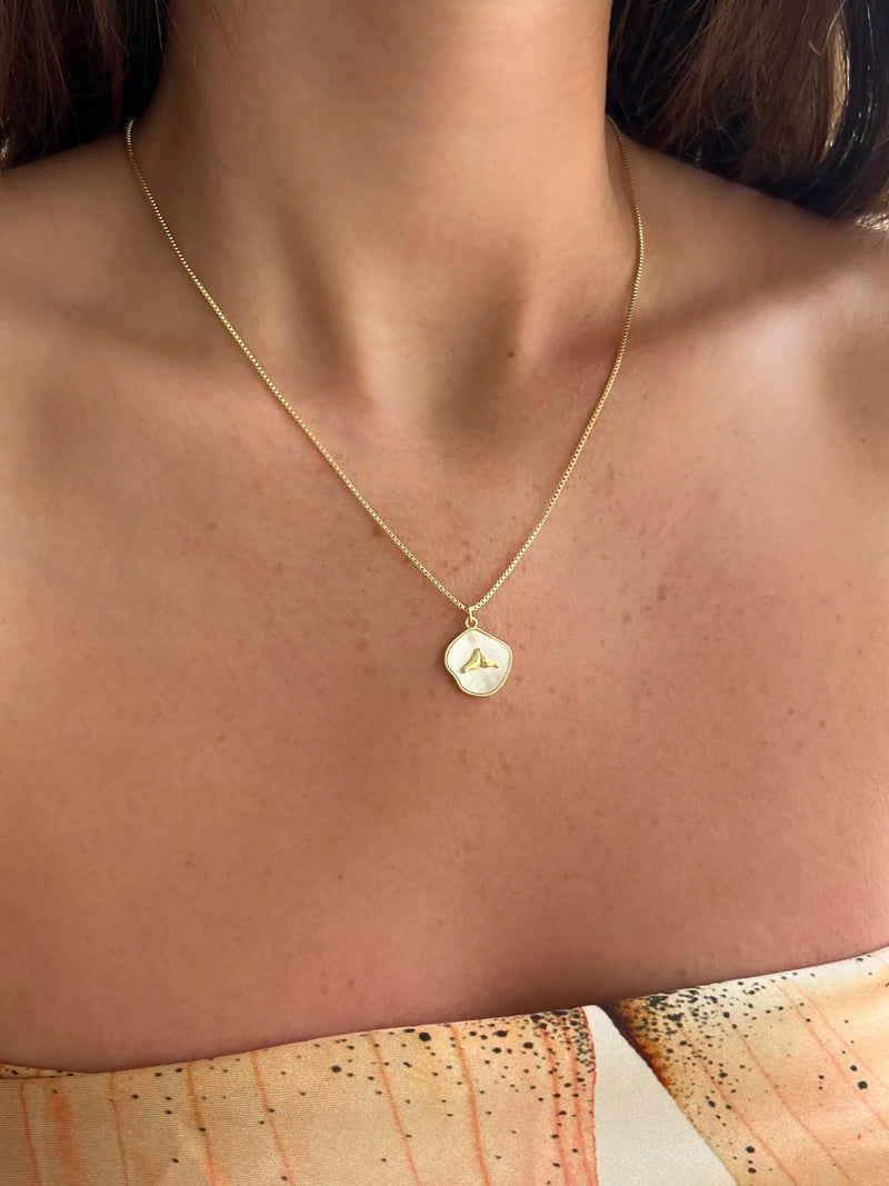 Facetune 10 08 2024 23 23 54