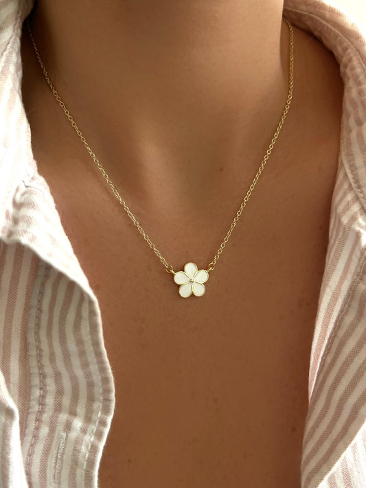 files/Facetune_12-11-2024-22-44-31-scaled.jpg