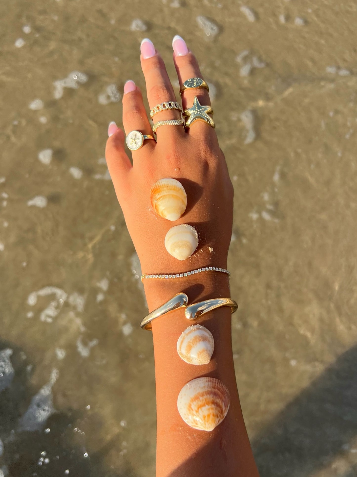 טבעת כוכב ים צ'אנקי