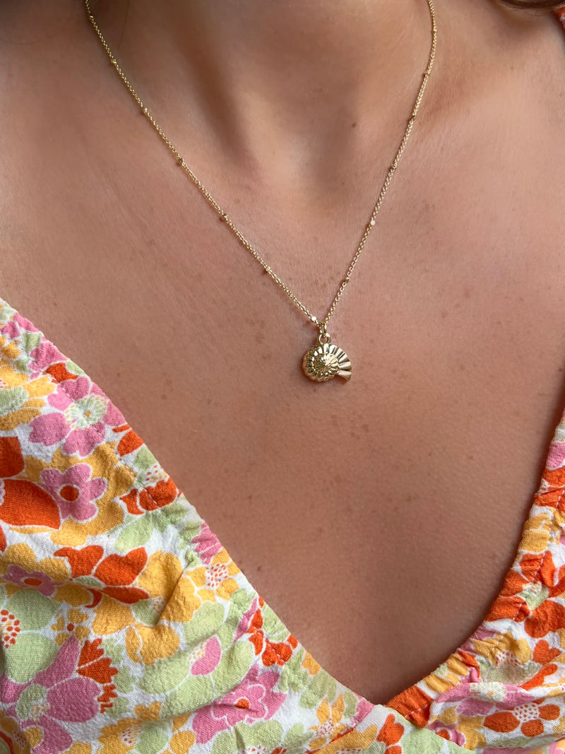 Facetune 18 08 2024 14 50 47