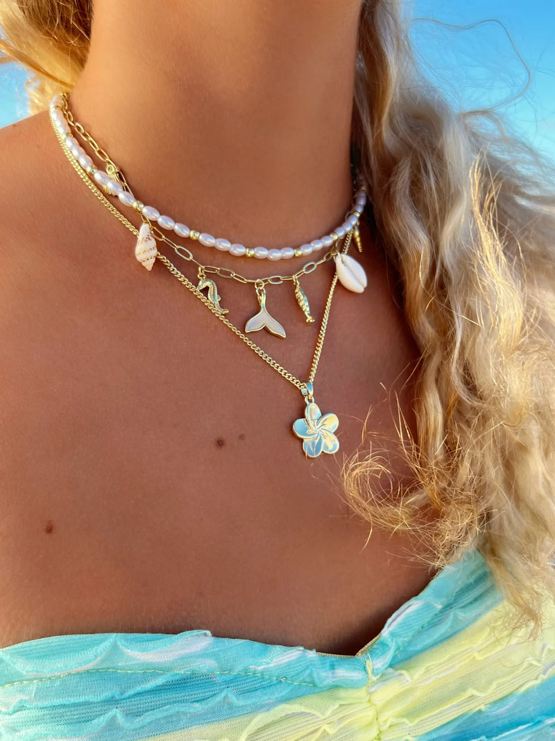 Facetune 22 09 2024 22 52 55