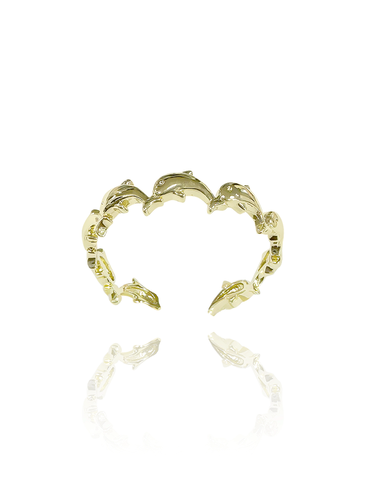 טבעת דולפינים