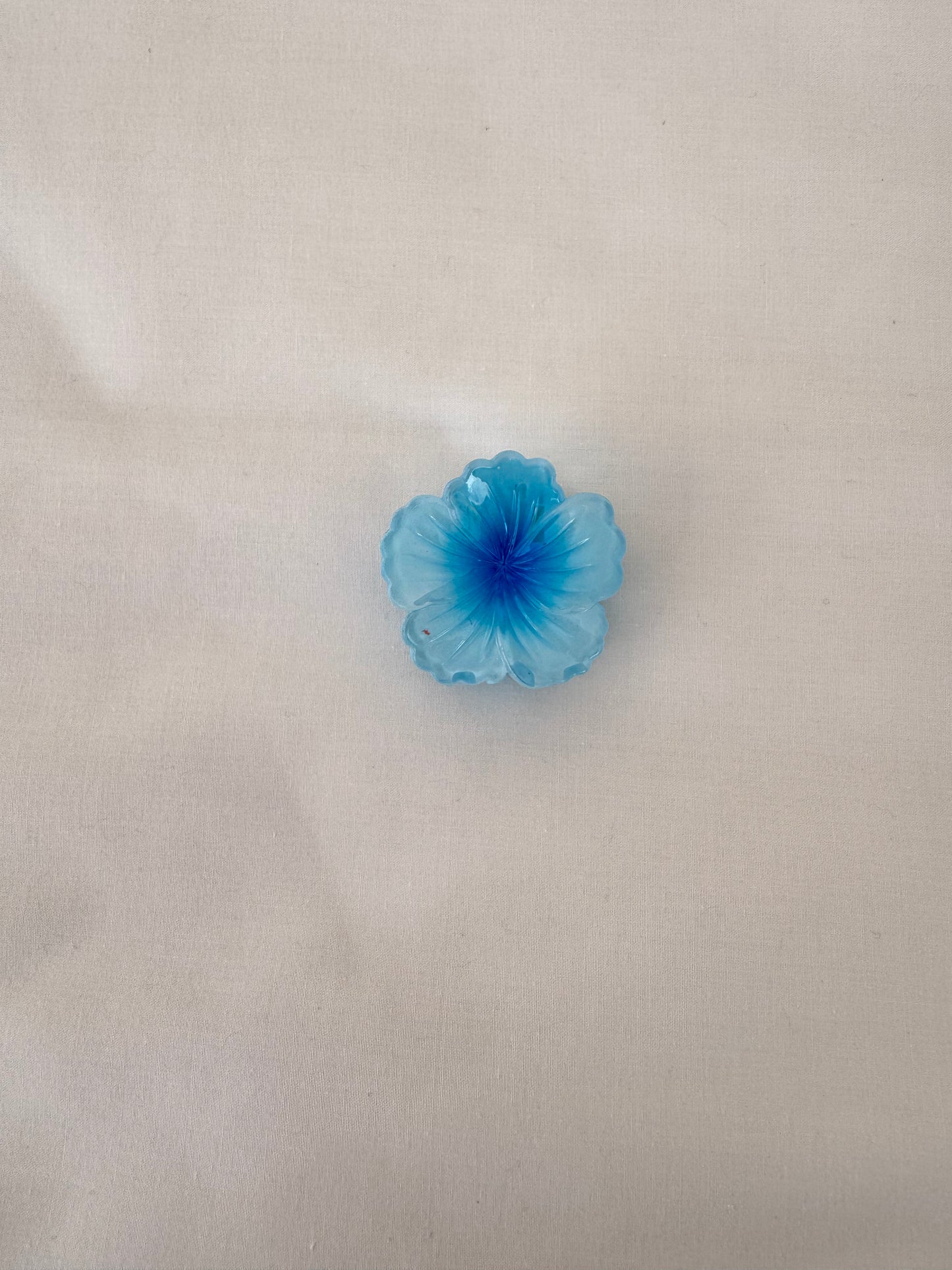 מיני קליפס היביסקוס צבעוני