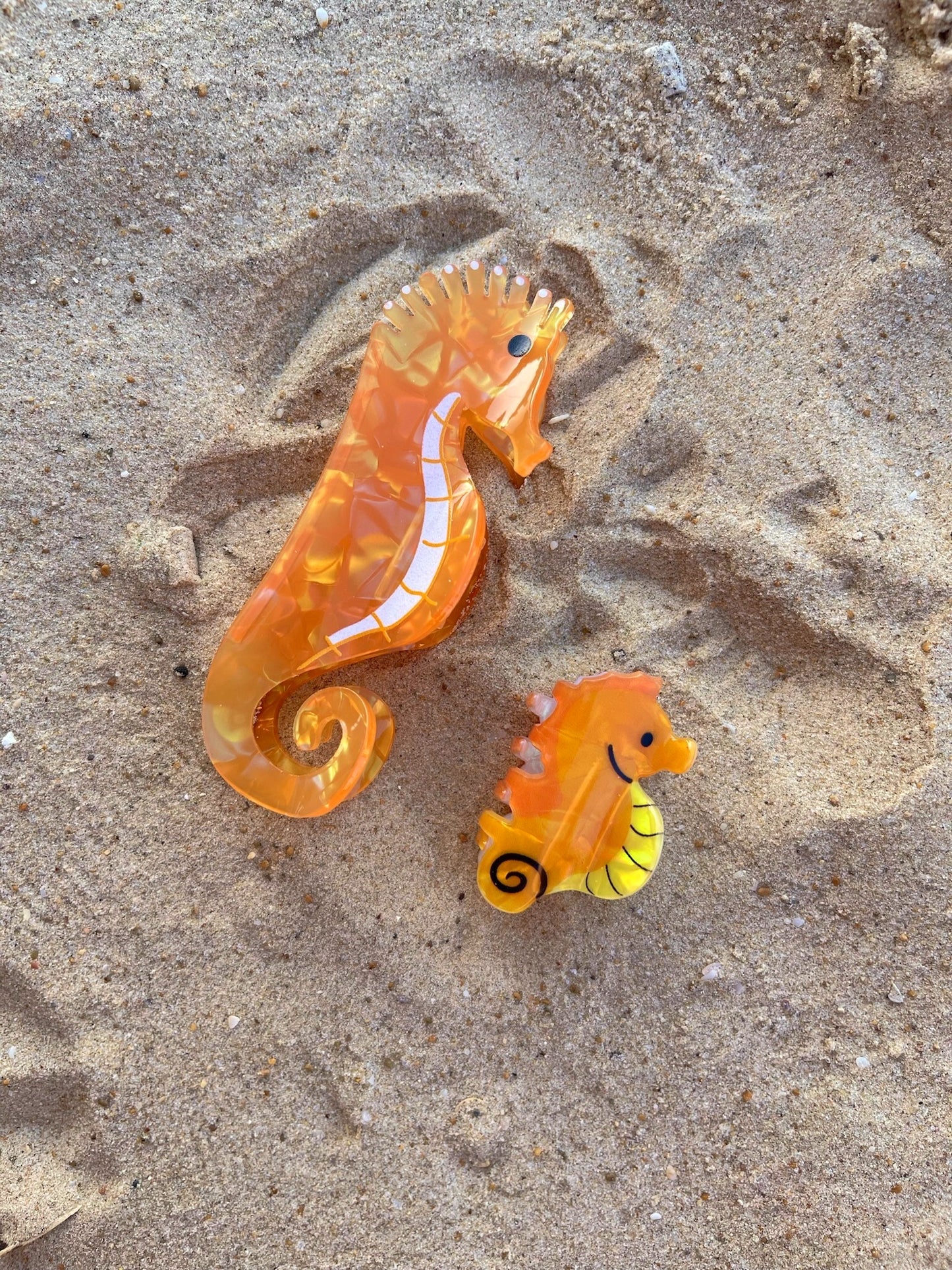קליפס סוסון ים