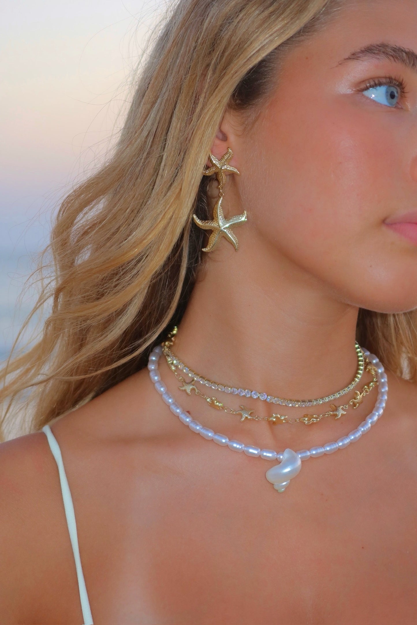 צ׳וקר כוכבי ים עדינים