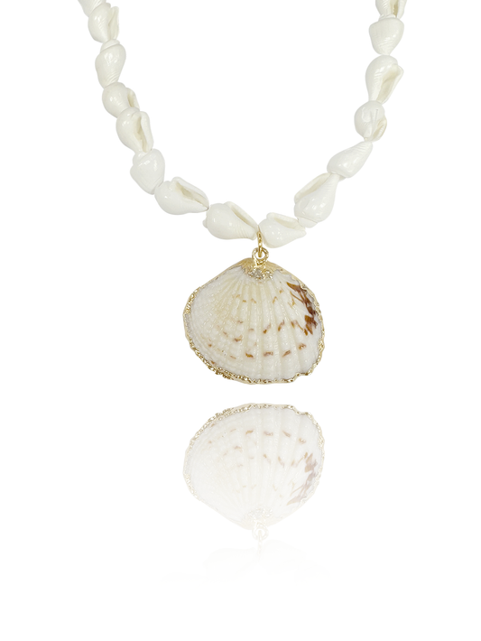 שרשרת צדפות סאמר