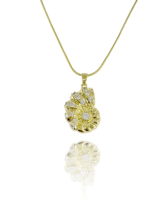 שרשרת קונכייה משובצת