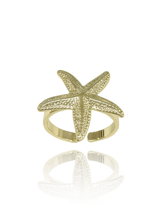 טבעת כוכב ים אייבי