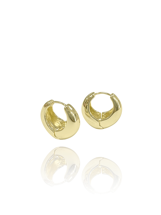 זוג עגילי חישוק מולי