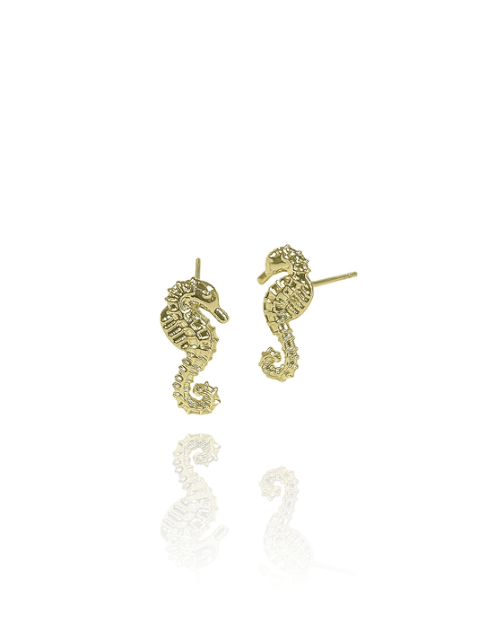 זוג עגילי סוסון ים