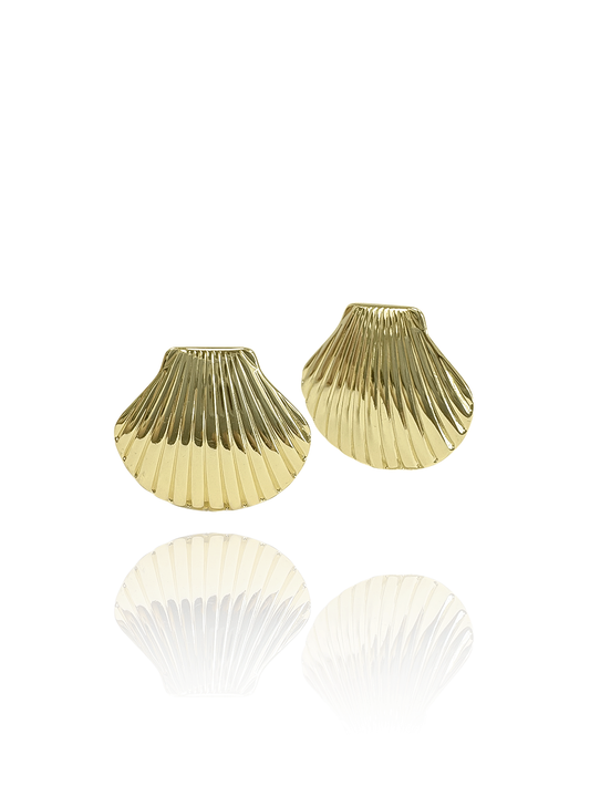 זוג עגילי צדפה