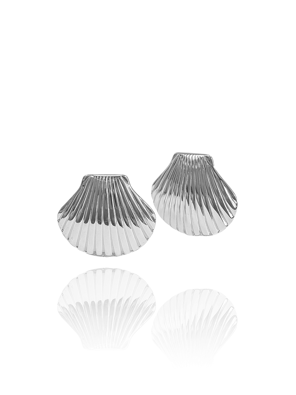 זוג עגילי צדפה