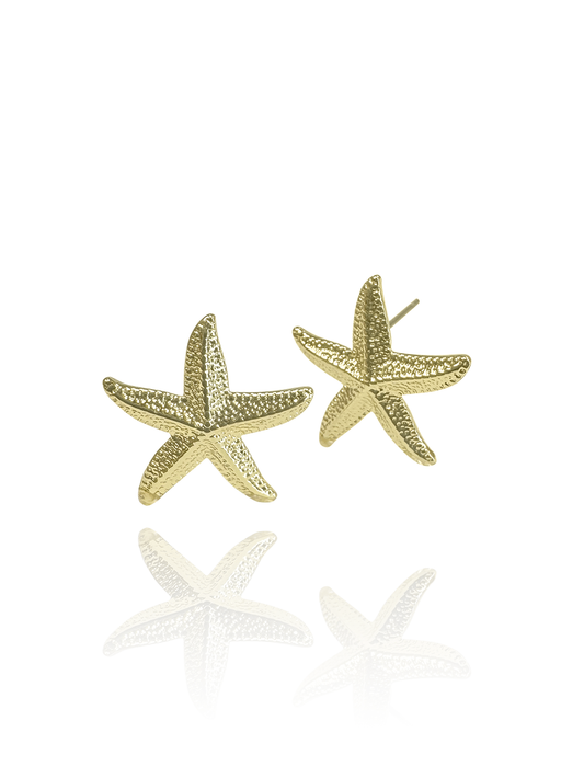 זוג עגילי כוכב ים אייבי