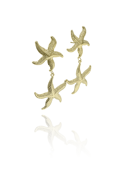 זוג עגילי כוכב ים כפול