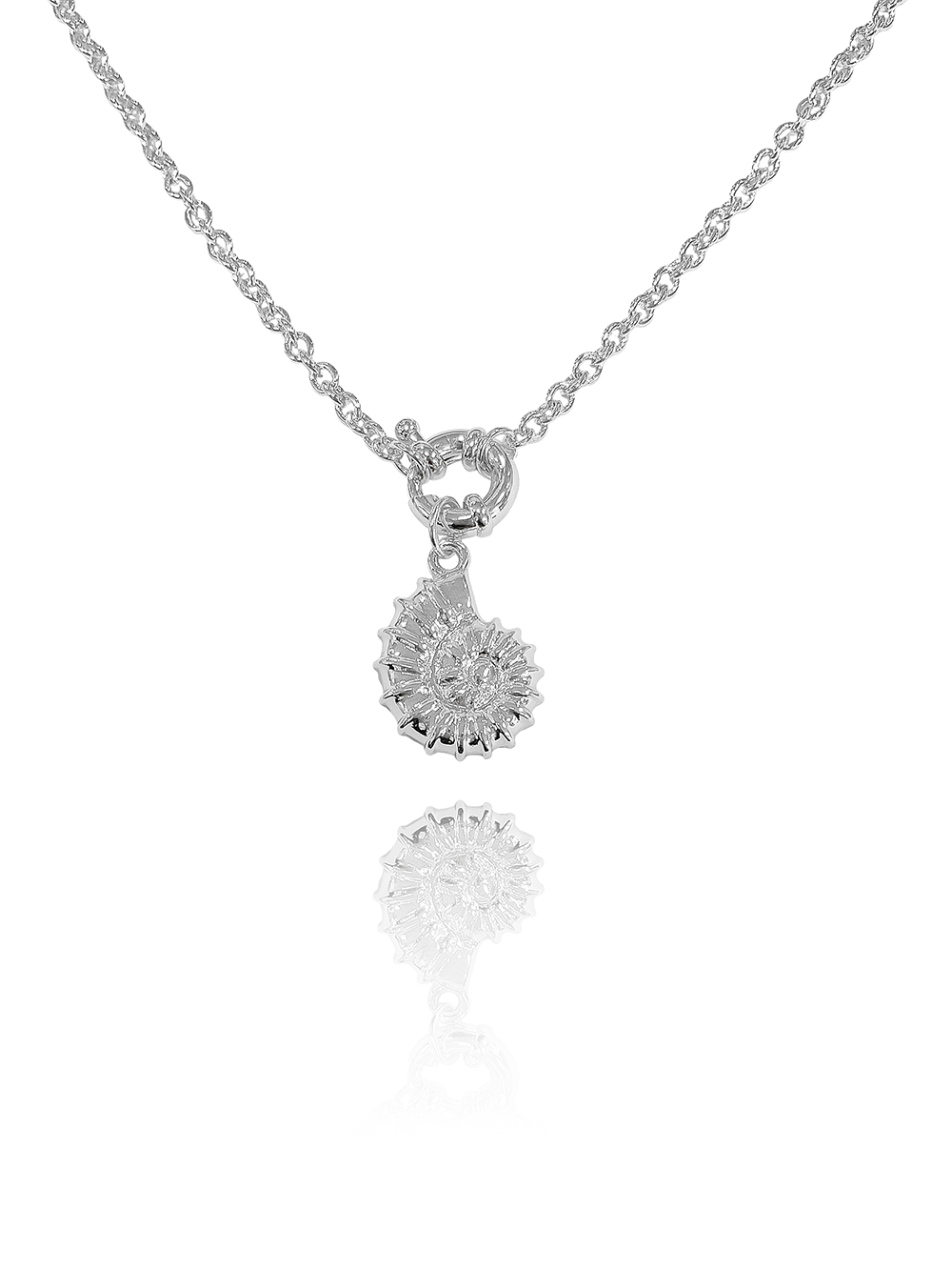 שרשרת גורמט קונכייה