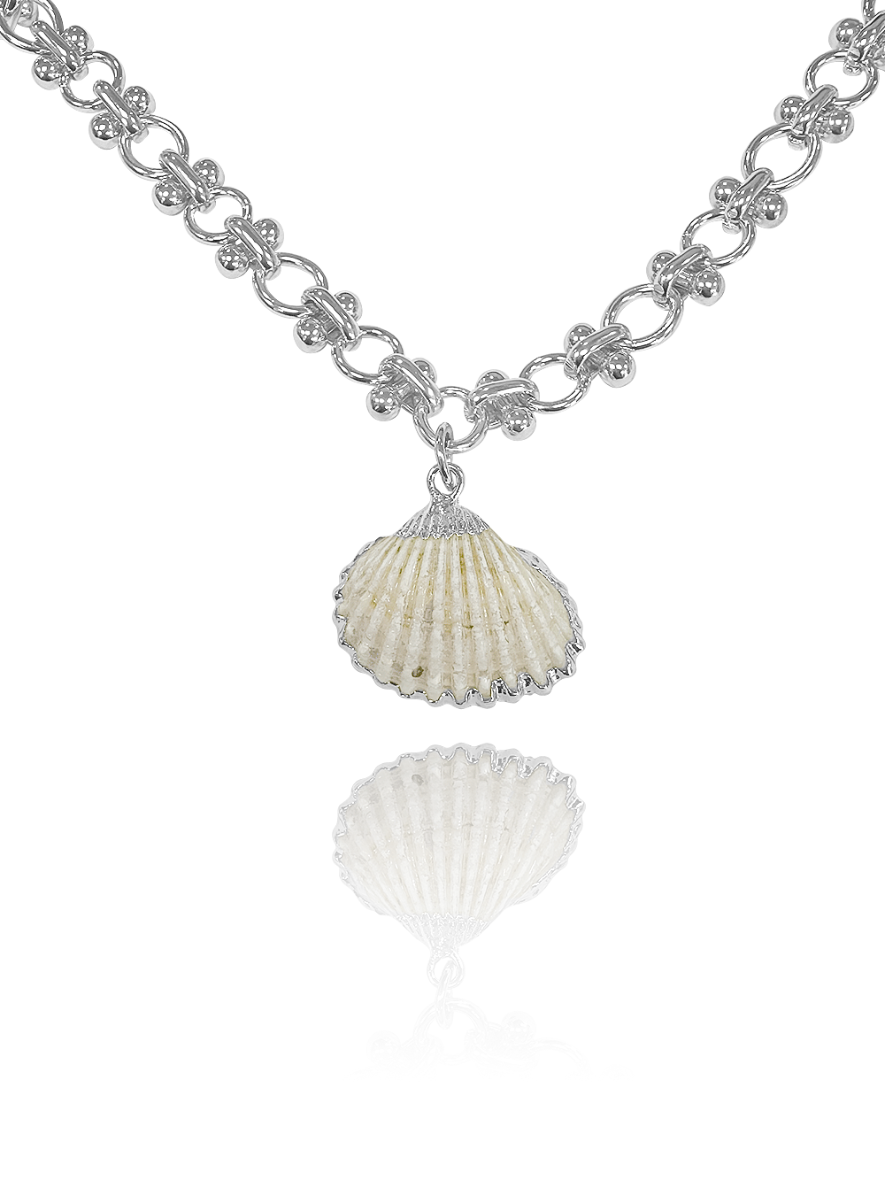 שרשרת צדפה זיו