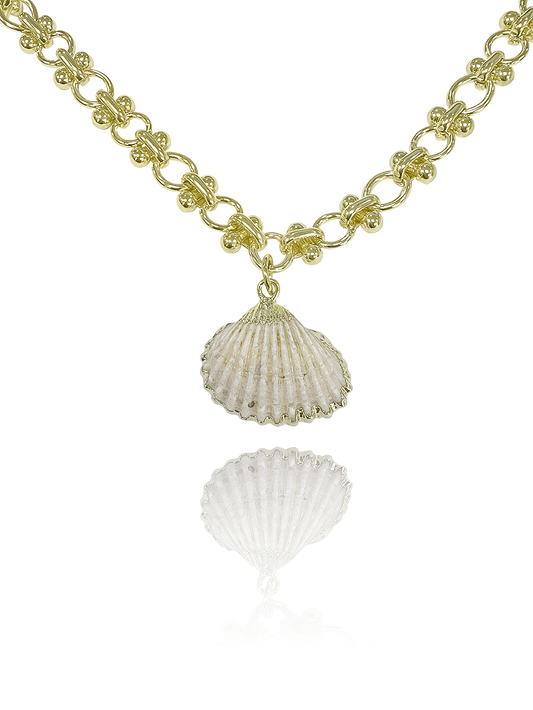 שרשרת צדפה זיו