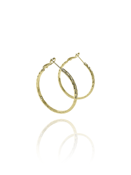 זוג עגילי חישוק טלי