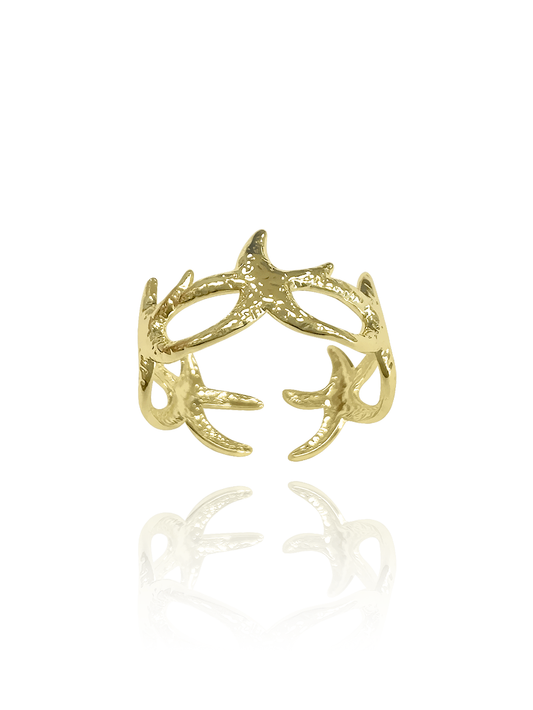 טבעת כוכבי ים עדינים