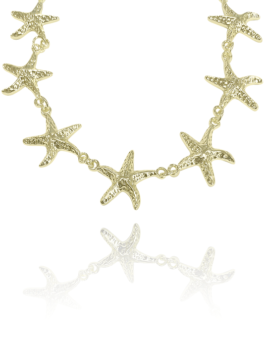 צ'וקר כוכבי ים