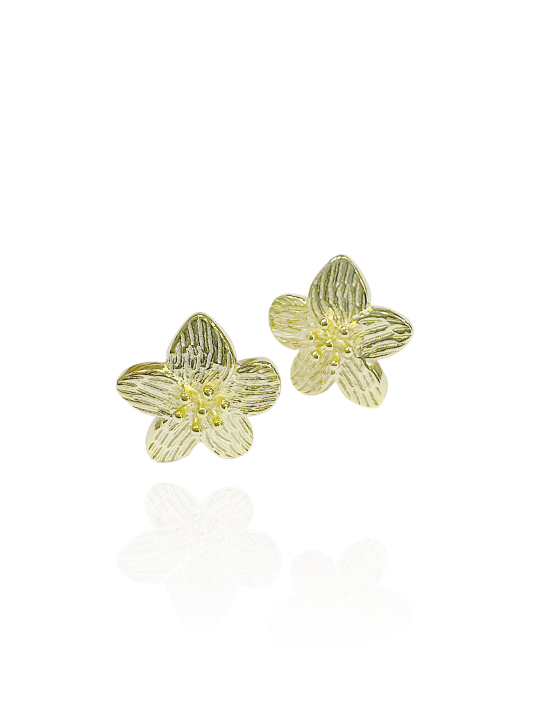 Img 7394 01 768x1024