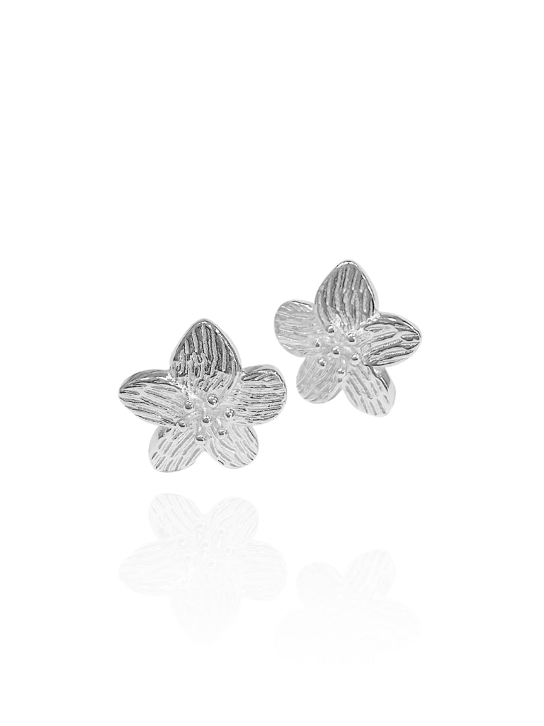 Img 7394 02 768x1024