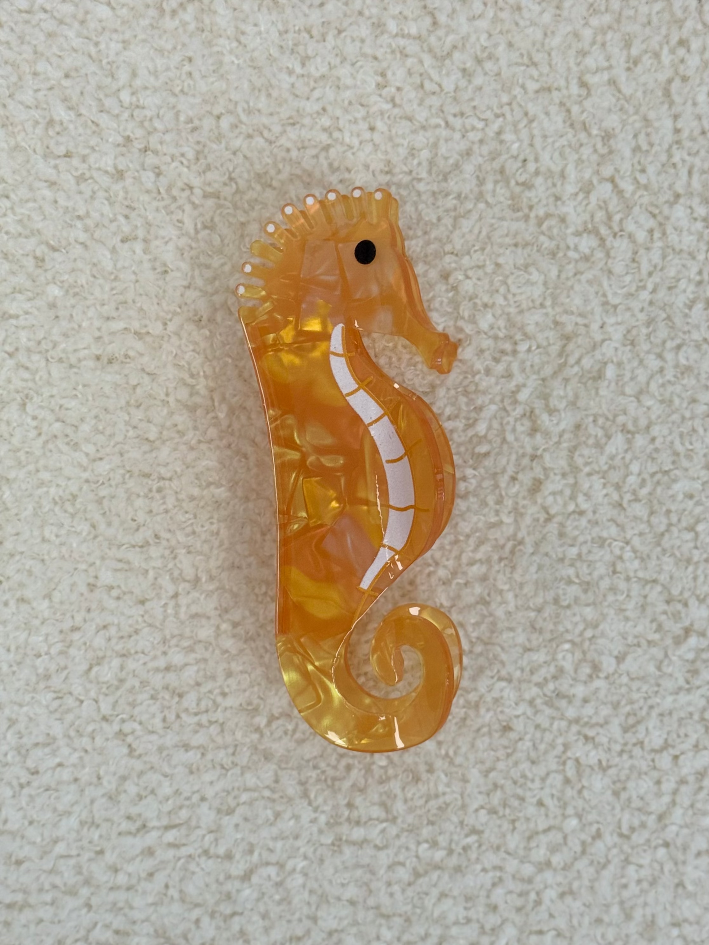 קליפס סוסון ים