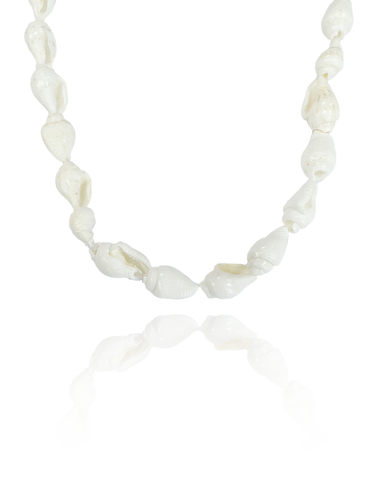 שרשרת צדפות