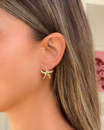 זוג עגילי כוכב ים חלק עדין