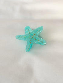 קליפס כוכב ים