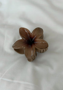 קליפס פרח חורפי