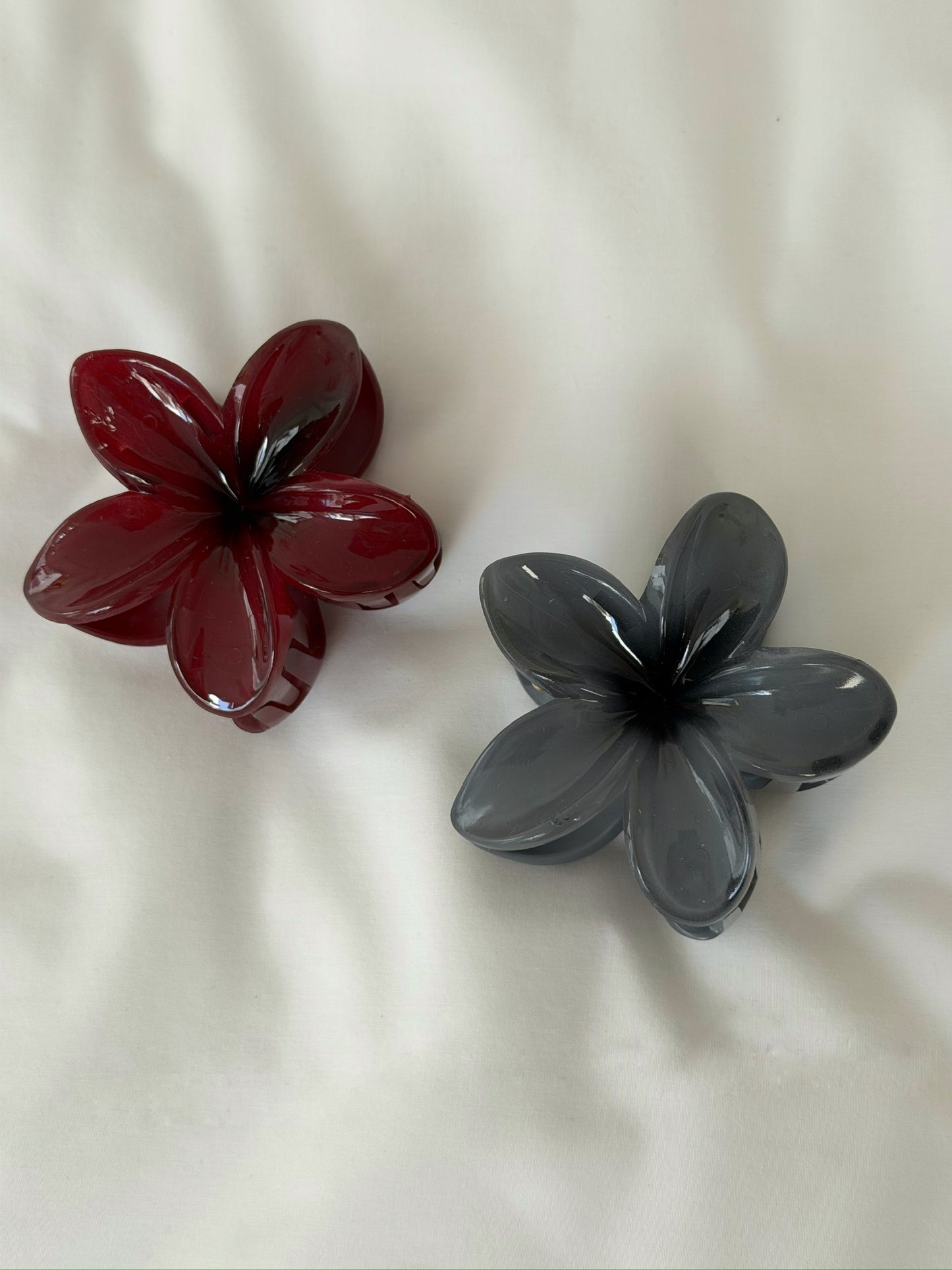 קליפס פרח חורפי