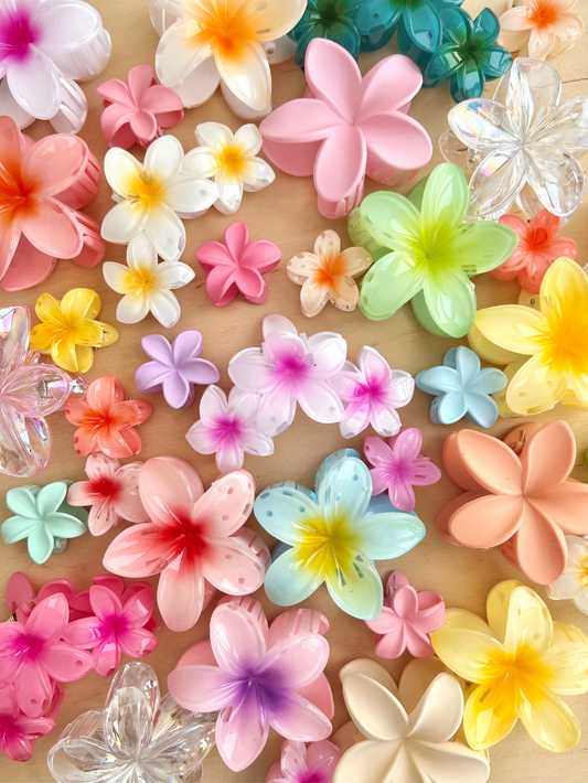 קליפס בהפתעה