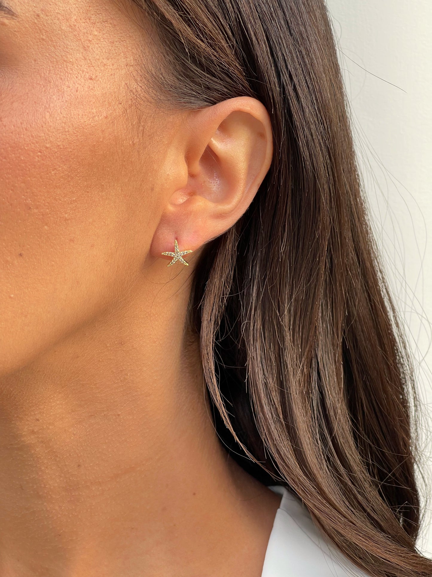 זוג עגילי כוכב ים משובץ קטן