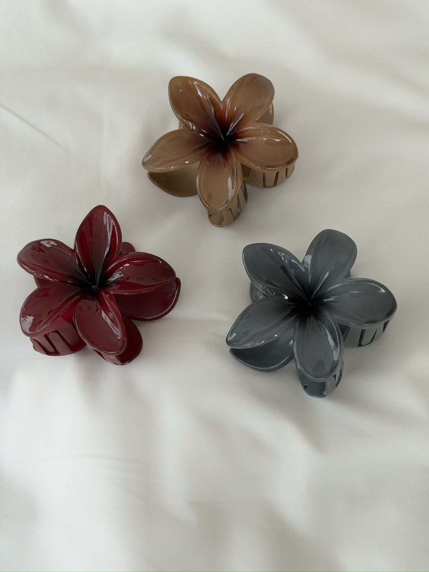 קליפס פרח חורפי