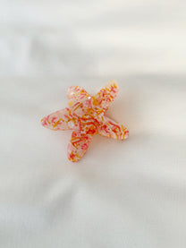 קליפס כוכב ים