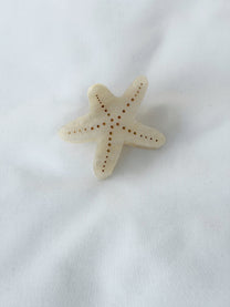 קליפס כוכב ים