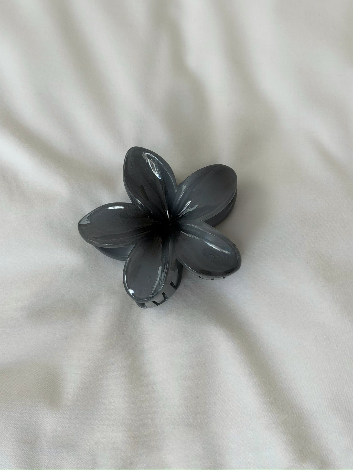 קליפס פרח חורפי