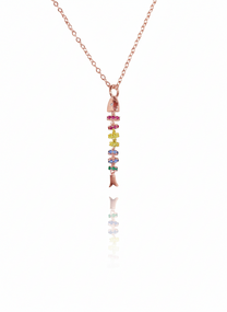 שרשרת דג שייני