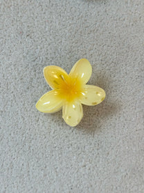 Img 0179 2