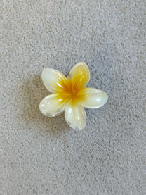 Img 0323