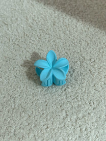 Img 1748