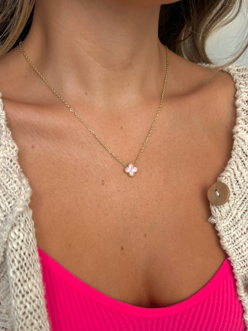 Img 2018