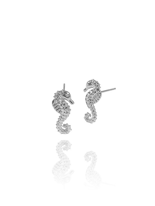 files/IMG_2263-02.png
