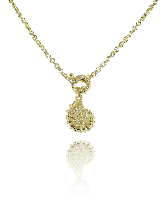 שרשרת גורמט קונכייה