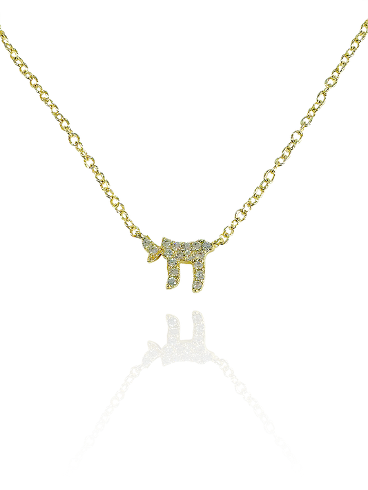 שרשרת חי משובצת צמודה