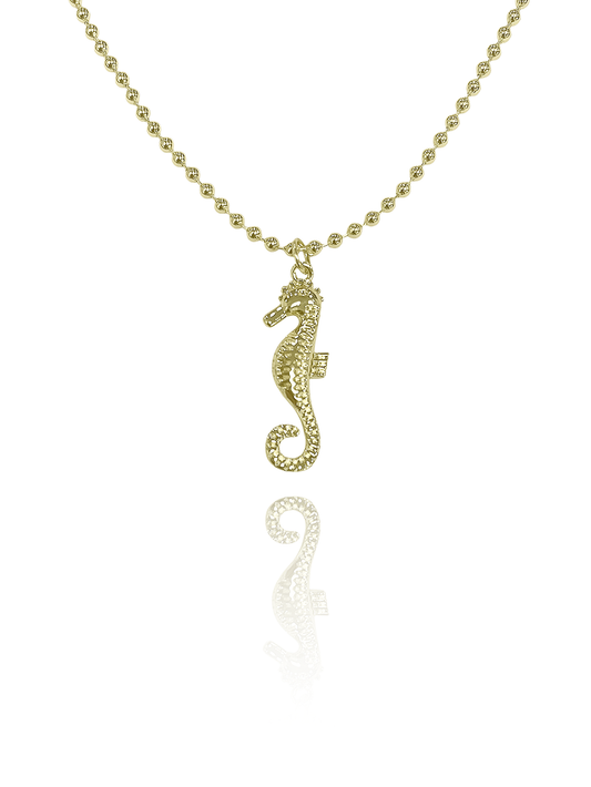 שרשרת כדורים סוסון ים