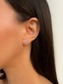 מטפס זירקונים