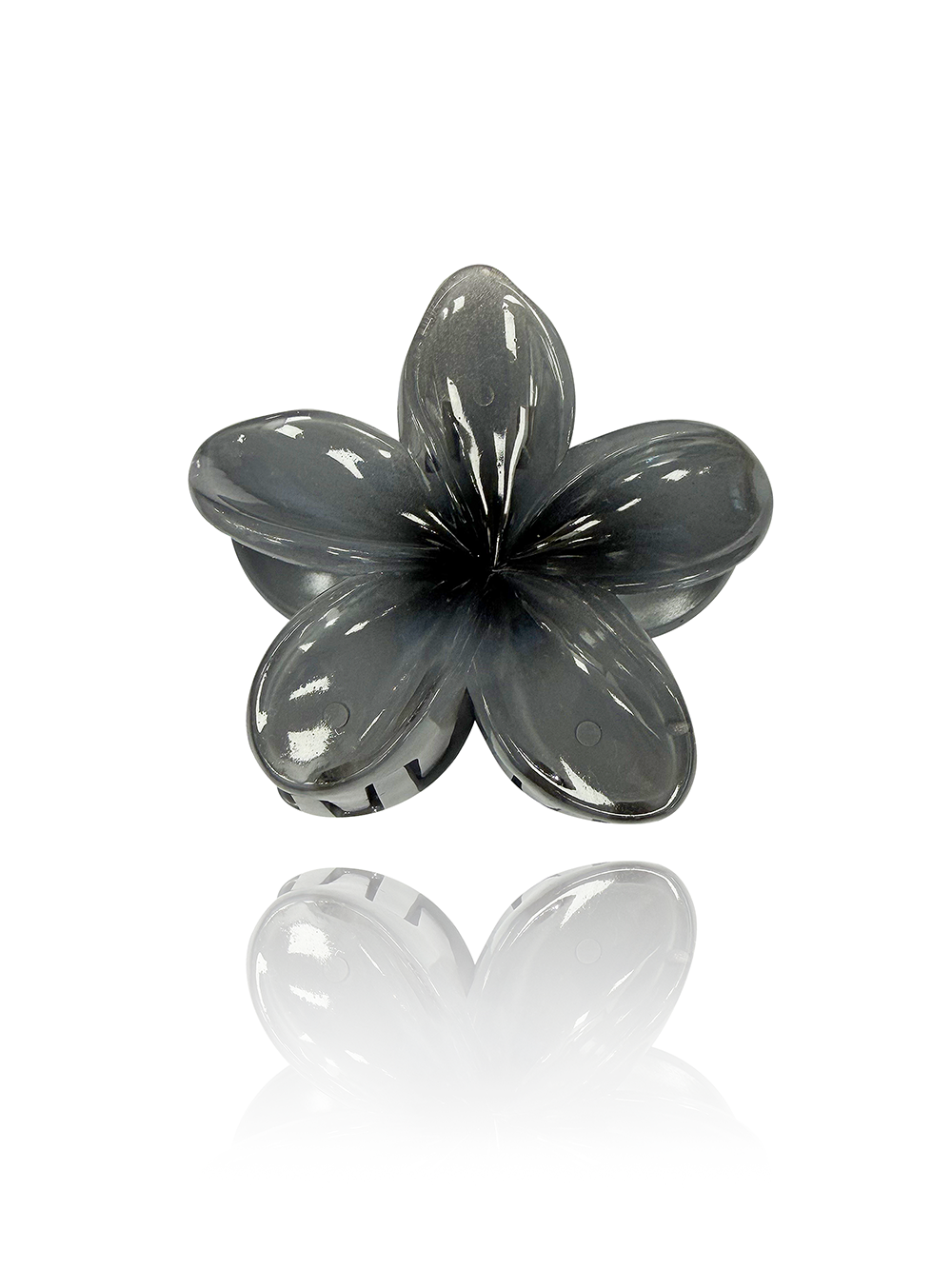 קליפס פרח חורפי